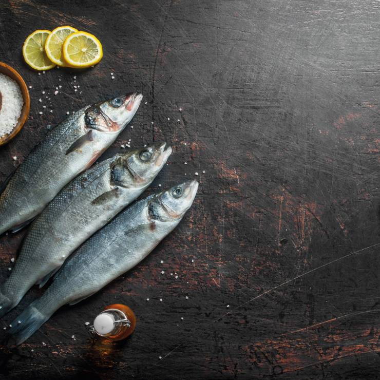 Sea Bass